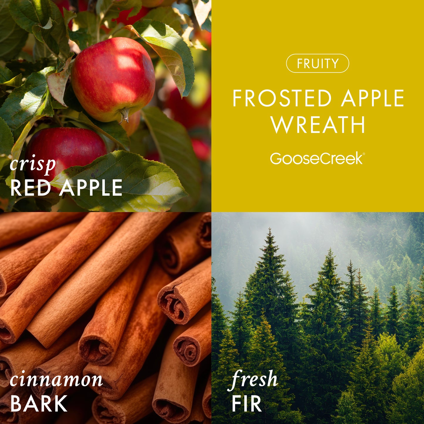 Frosted Apple Wreath 3-Wick Candle