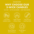 Load image into Gallery viewer, Frosted Apple Wreath 3-Wick Candle
