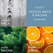 Load image into Gallery viewer, Frosted Birch &amp;amp; Balsam 3-Wick Candle

