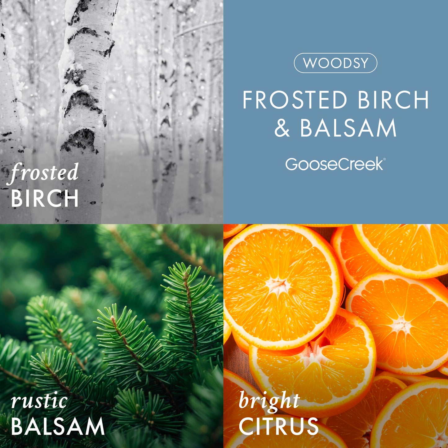 Frosted Birch & Balsam 3-Wick Candle