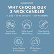 Load image into Gallery viewer, Frosted Birch &amp;amp; Balsam 3-Wick Candle
