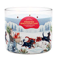 Load image into Gallery viewer, Frosted Birch &amp;amp; Balsam 3-Wick Candle
