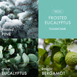 Load image into Gallery viewer, Frosted Eucalyptus 3-Wick Candle
