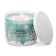 Load image into Gallery viewer, Frosted Eucalyptus 3-Wick Candle
