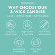 Load image into Gallery viewer, Frosted Eucalyptus 3-Wick Candle
