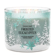 Load image into Gallery viewer, Frosted Eucalyptus 3-Wick Candle
