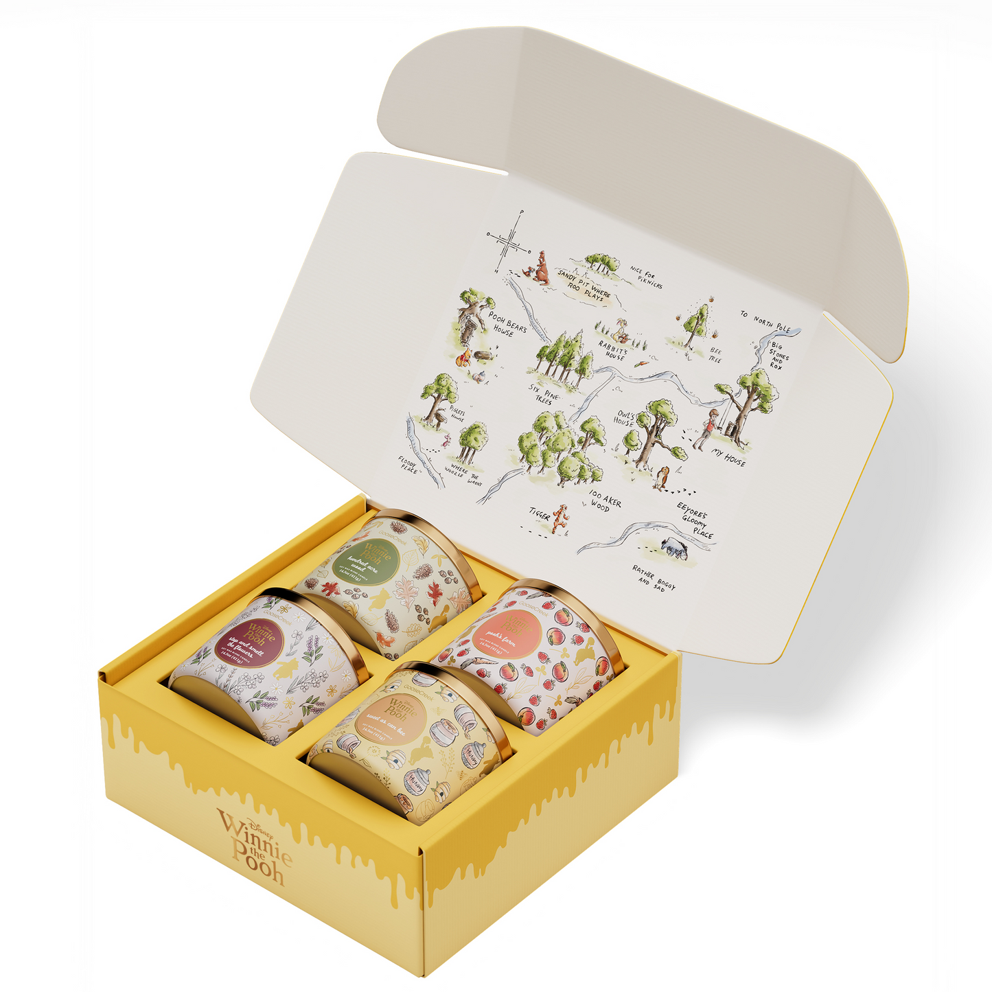 Winnie the Pooh 4-Pack Collector's Box