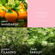 Load image into Gallery viewer, Garden House 3-Wick Candle
