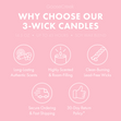 Load image into Gallery viewer, Garden House 3-Wick Candle
