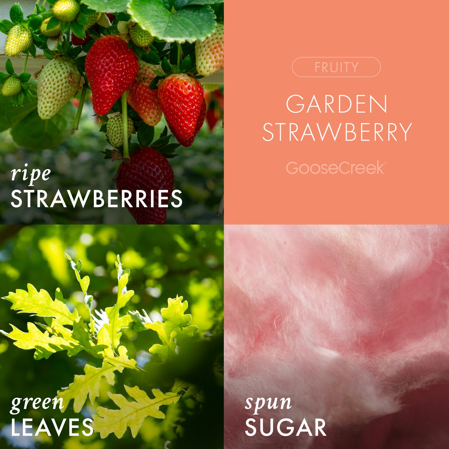 Garden Strawberry 3-Wick Candle
