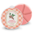 Load image into Gallery viewer, Garden Strawberry Wax Melt
