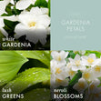 Load image into Gallery viewer, Gardenia Petals 3-Wick Candle
