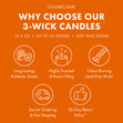 Load image into Gallery viewer, Gathering Leaves 3-Wick Candle
