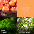 Load image into Gallery viewer, Georgia Peach 7oz Single Wick Candle
