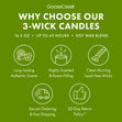 Load image into Gallery viewer, Ghostbusters 3-Wick Candle

