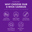 Load image into Gallery viewer, Girl Scout Coconut Caramel 3-Wick Candle
