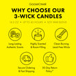 Load image into Gallery viewer, Girl Scout Lemon-Ups™ 3-Wick Candle
