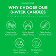 Load image into Gallery viewer, Girl Scout Thin Mint™ 3-Wick Candle
