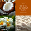 Load image into Gallery viewer, Golden Coconut Glow 3-Wick Candle
