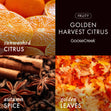 Load image into Gallery viewer, Golden Harvest Citrus 3-Wick Candle

