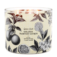 Golden Harvest Citrus 3-Wick Candle