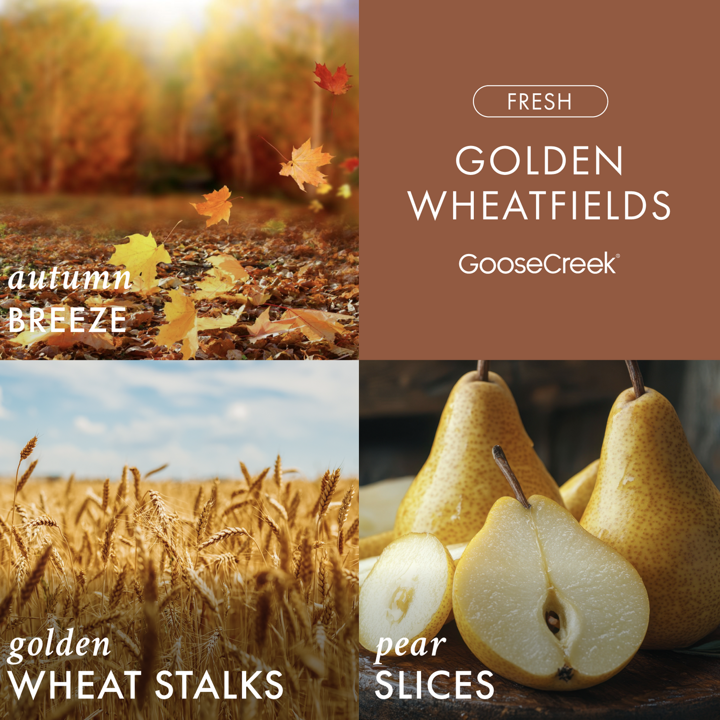 Golden Wheatfields 3-Wick Candle