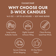 Load image into Gallery viewer, Golden Wheatfields 3-Wick Candle
