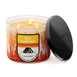 Load image into Gallery viewer, Gone Camping 3-Wick Candle
