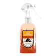 Load image into Gallery viewer, Gone Camping Odor Eliminating Room Spray

