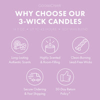 Grape Soda 3-Wick Candle
