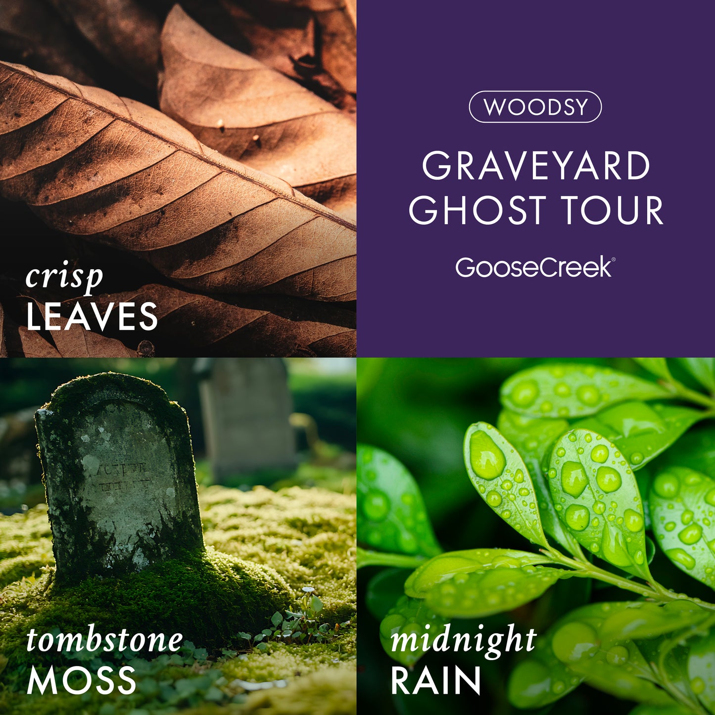 Graveyard Ghost Tour 3-Wick Candle
