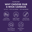 Load image into Gallery viewer, Graveyard Ghost Tour 3-Wick Candle
