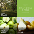 Load image into Gallery viewer, Green Grass &amp;amp; Apple 3-Wick Candle
