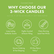 Load image into Gallery viewer, Green Grass &amp;amp; Apple 3-Wick Candle
