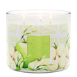 Load image into Gallery viewer, Green Grass &amp;amp; Apple 3-Wick Candle
