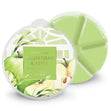 Load image into Gallery viewer, Green Grass &amp;amp; Apple Wax Melt
