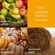 Load image into Gallery viewer, Harvest Hayride Wax Melt
