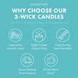Load image into Gallery viewer, Hey Arnold Nickelodeon 3-Wick Candle
