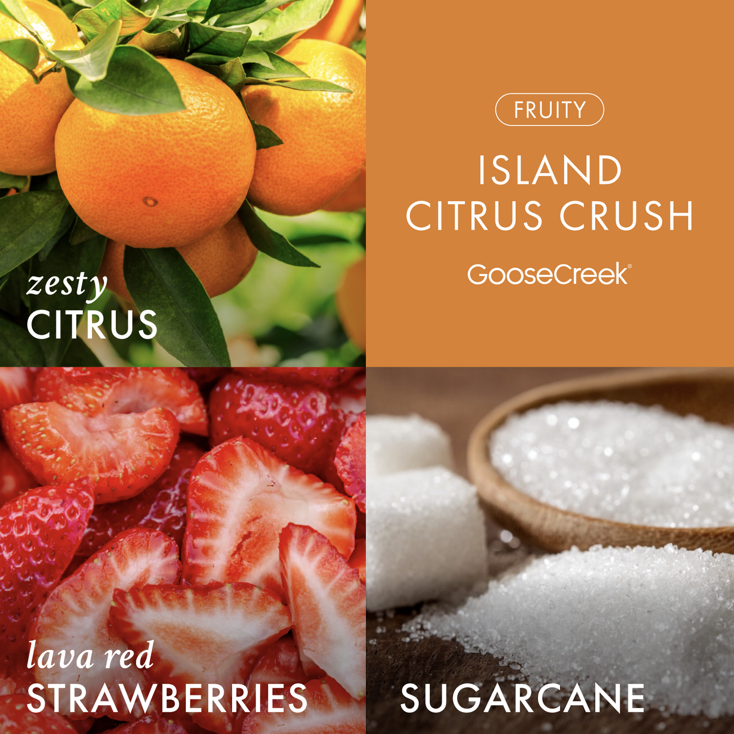 Island Citrus Crush High Intensity 3-Wick 14.5oz Candle