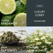 Load image into Gallery viewer, Luxury Lobby High Intensity 4-Wick 26oz Candle
