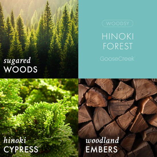 Hinoki Forest - 3-Wick Candle - Fragrance for Your Home! – Goose