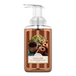 Load image into Gallery viewer, Holiday Cider Lush Foaming Hand Soap
