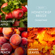 Load image into Gallery viewer, Honeycrisp Breeze 3-Wick Candle
