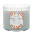 Load image into Gallery viewer, Honeycrisp Breeze 3-Wick Candle
