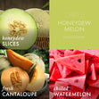 Load image into Gallery viewer, Honeydew Melon 3-Wick Candle
