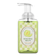 Load image into Gallery viewer, Honeydew Melon Lush Foaming Hand Soap
