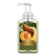 Load image into Gallery viewer, Honeydew Melon Lush Foaming Hand Soap
