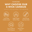 Load image into Gallery viewer, Honeyed Hickory 3-Wick Candle
