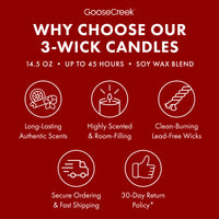 Hot Cocoa & Peppermint 3-Wick Candle
