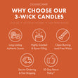 Load image into Gallery viewer, Island Bliss Odor Eliminating 3-Wick Candle
